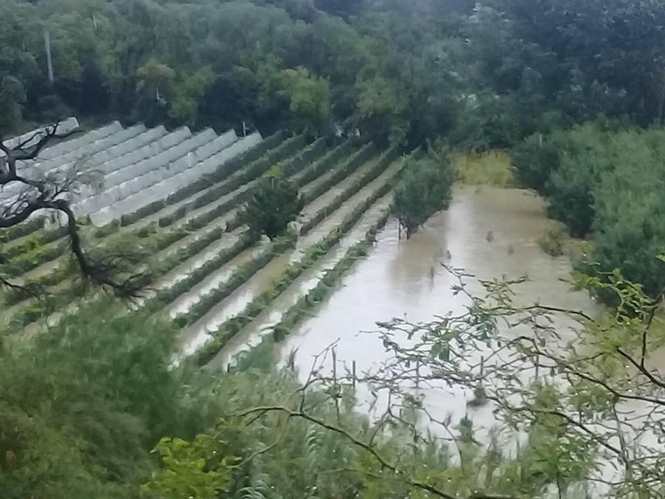 Camargo se alista para recuperar plantas tras la riada del jueves