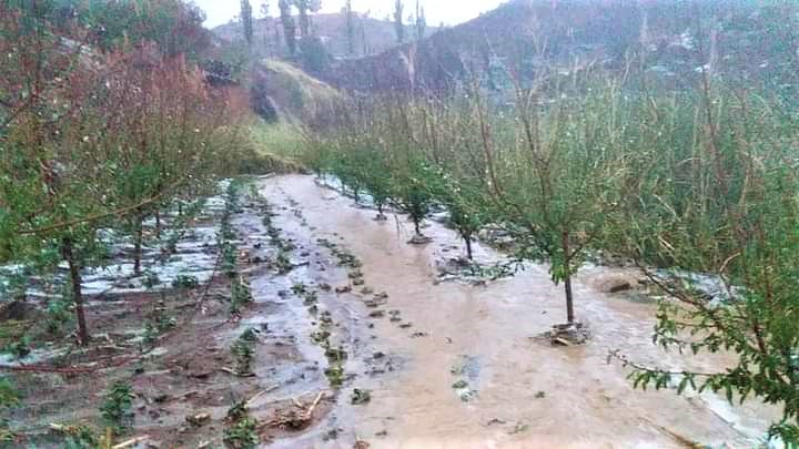 En San Lucas reportan más de 400 familias damnificadas por la granizada