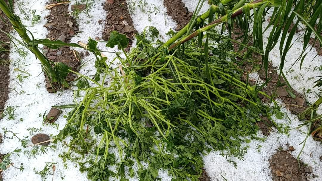 Granizo y riada hacen estragos en ocho comunidades de San Lucas