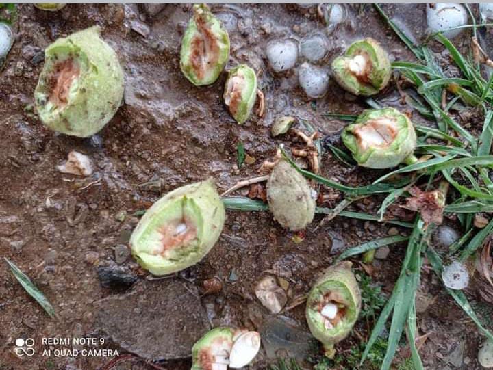 Otra vez la granizada azota a Malliri y a otras tres comunidades de San Lucas