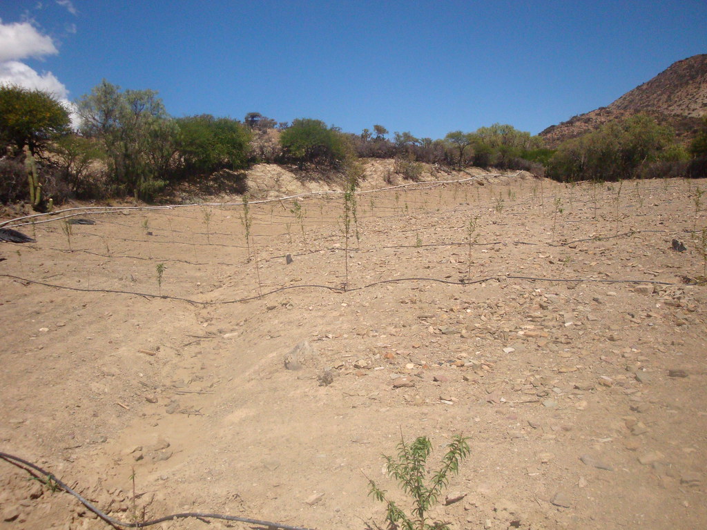 Pobladores de Uturungo retienen a jueza agroambiental 